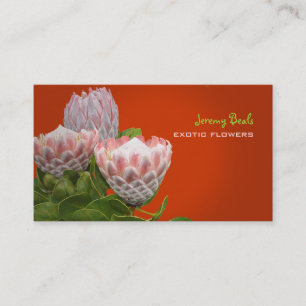PixDezines maui protea/diy background colour Business Card