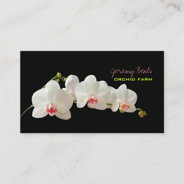 PixDezines orchid/diy background colour♥♥♥ Business Card (Front)