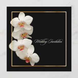 PixDezines orchids/phalaenopsis Invitation