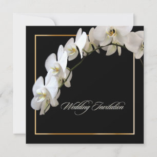 PixDezines orchids/phalaenopsis Invitation