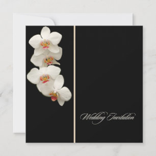 PixDezines orchids/phalaenopsis Invitation