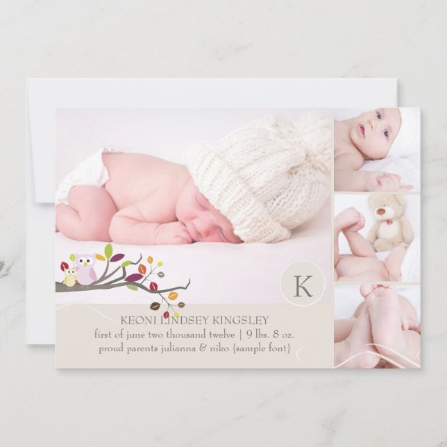 PixDezines owl photo template birth announcement (Front)