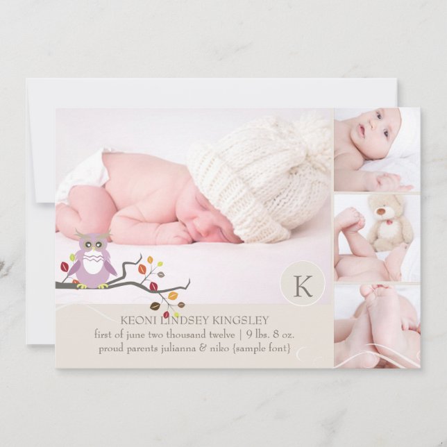PixDezines owl photo template birth announcement (Front)