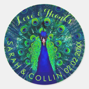 PixDezines peacock Classic Round Sticker