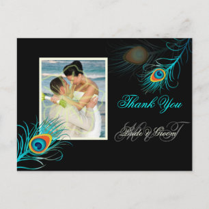 PixDezines peacock thank you/DIY background colour Postcard