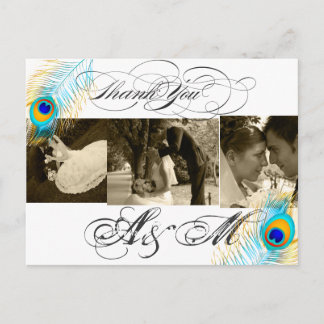 PixDezines Peacock Wedding Photos Thank you Postcard