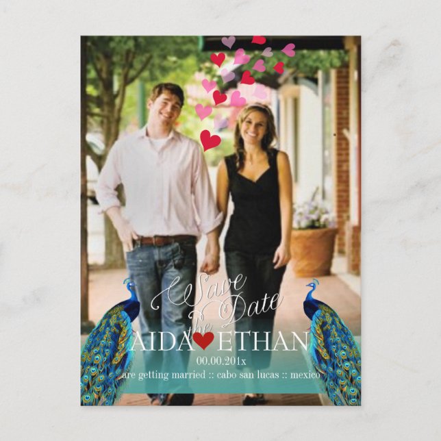 PixDezines photo+peacock/save the date Announcement Postcard (Front)