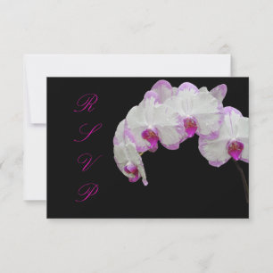 PixDezines rsvp moth orchids/fuschia