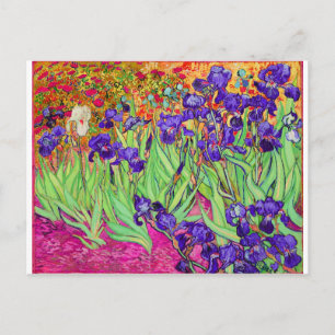 PixDezines van gogh iris/st. remy Postcard