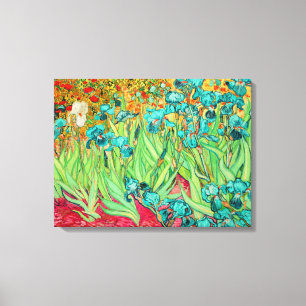 PixDezines van gogh irises/st. remy Canvas Print