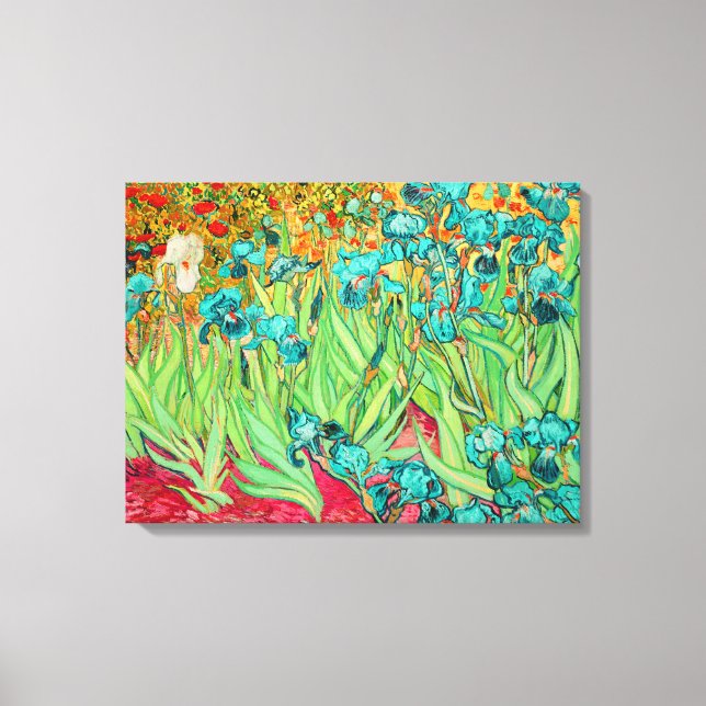 PixDezines van gogh irises/st. remy Canvas Print (Front)