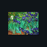 PixDezines van gogh irises/st. remy Canvas Print<br><div class="desc">Van Gogh purple irises at st. remy.   Digitally enhanced by PixDezines.
com.   All rights reserved</div>