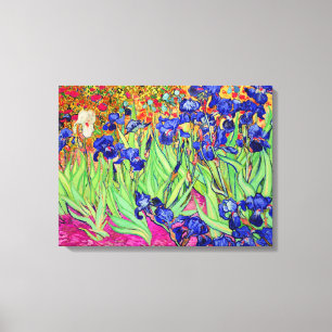 PixDezines van gogh irises/st. remy Canvas Print