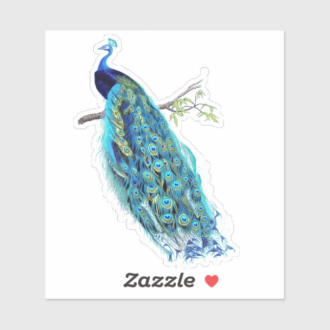 PixDezines Vintage Peacock Aqua Blue+Gold (Sheet)