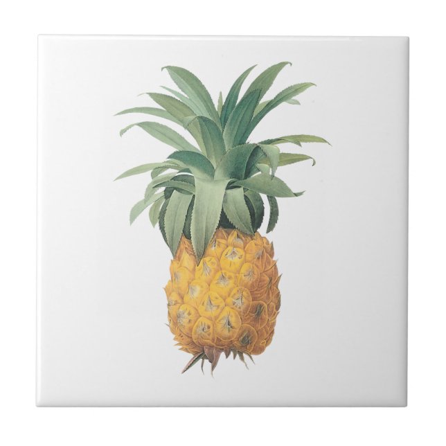 PixDezines vintage pineapple/diy background Tile (Front)