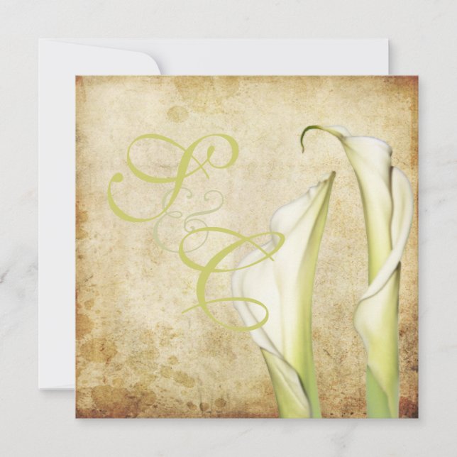 PixDezines Vintage White Calla lilies Invitation (Front)