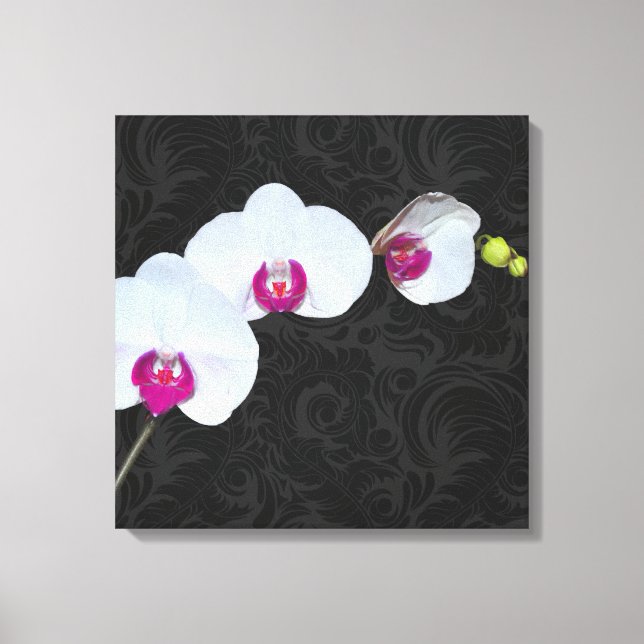 PixDezines White Orchid/DIY Background Colour Canvas Print (Front)