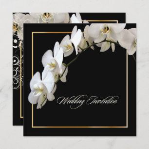 PixDezines WHITE ORCHID/PHALAENOPSIS/DIY colour Invitation