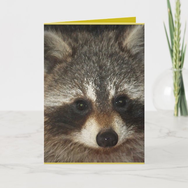 Pixie; one remarkable raccoon full of kindness. card (Front)