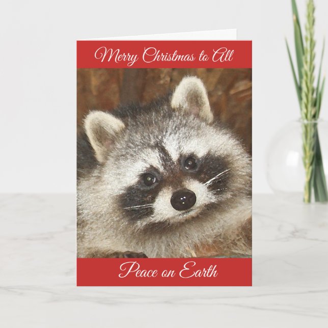 Pixie Raccoon Christmas Greetings Holiday Card (Front)