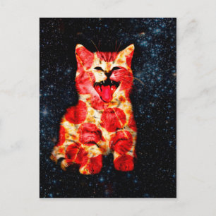 Pizza cat in space postcard