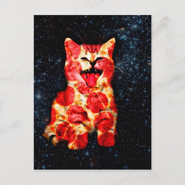 Pizza cat in space postcard (Front)