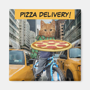 PIZZA DELIVERY! CAT MAGNETS