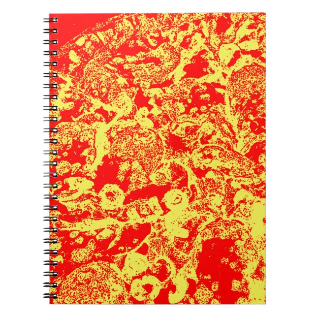 Pizza Pop Notebook (Front)