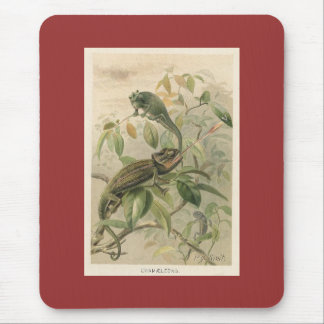 PJ Smith - Chameleons Mouse Pad