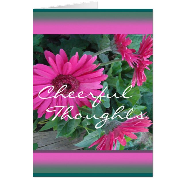 Pk Gerber Daisy Card-customize any occasion (Front)
