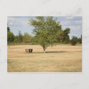 Place to Relax Postcard
