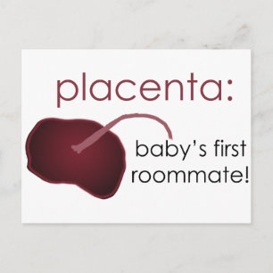 placenta, baby's first roommate postcard