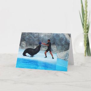 Placing ball on sea lion Spain Holiday Card