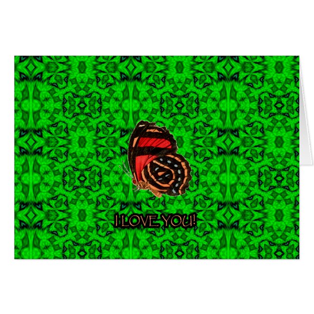 PLAD37-027 (Devant horizontal)