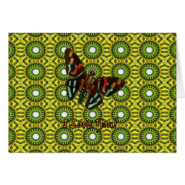 PLAD44-055 (Devant horizontal)