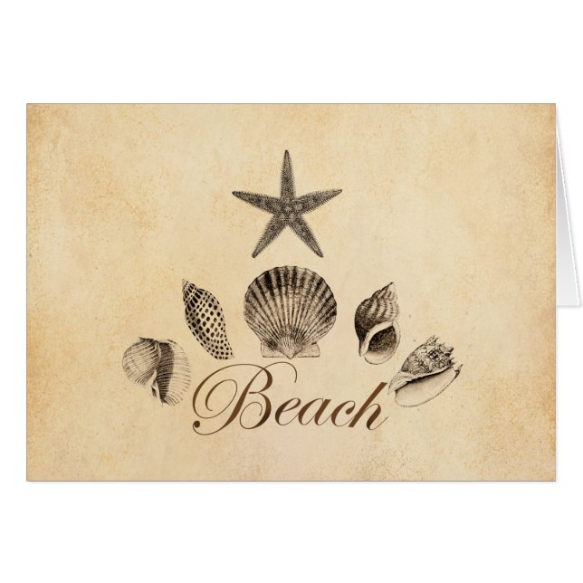 Plage (Devant horizontal)