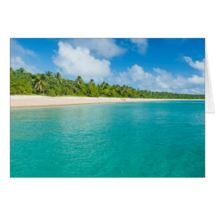Plage bordée de palmiers, Tonga