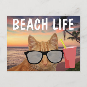 PLAGE CHAT GINGER LUNETTES DE SOLEIL CARTE POSTALE