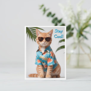 Plage Chat porter lunettes de soleil Carte de voeu
