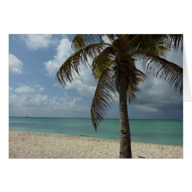 Plage d'Aruba I Belle Scène Nature (Devant horizontal)
