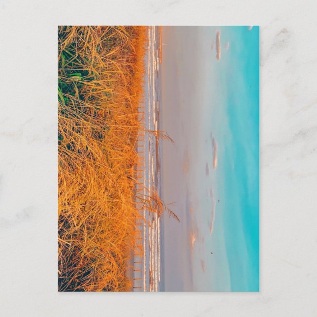 Plage de cartes postales (Devant)