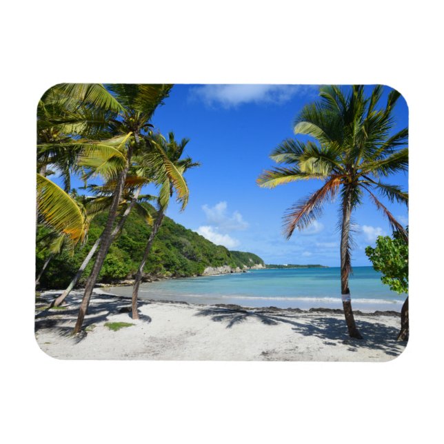 plage de guadeloupe magnet (Horizontal)
