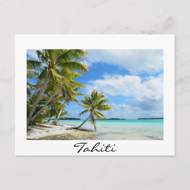 Plage de palmiers du Pacifique sur carte postale d (Devant)