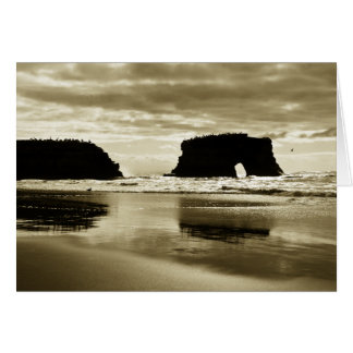 Plage d'état naturelle de ponts