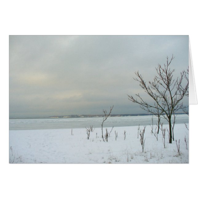 plage d'hiver (Devant Horizontal)