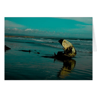 Plage El Pabellon, Baja Mexique