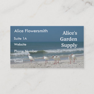 Plage Ibis- Carte de visite