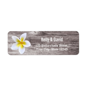 Plage Mariage Plumeria Flower Return Adresse