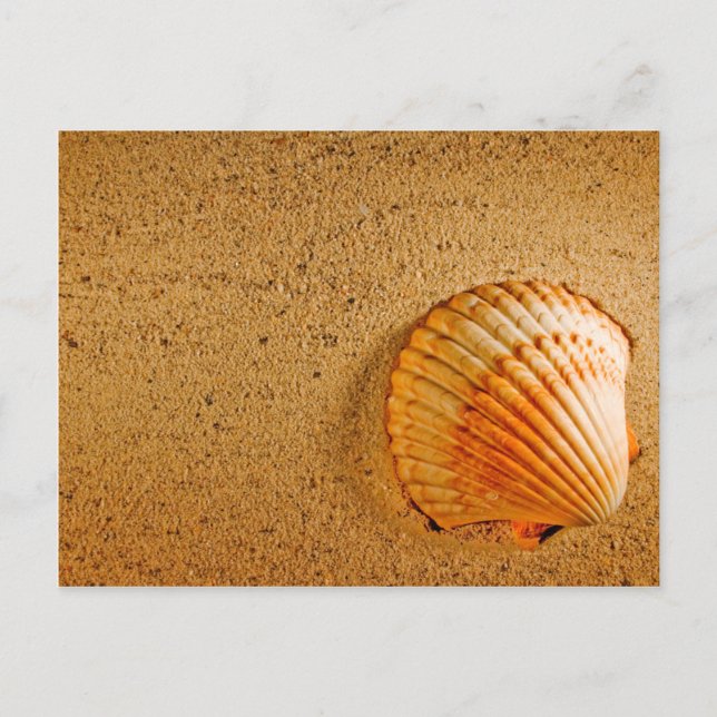 Plage Mariage Tropical RSVP Invitation (Devant)