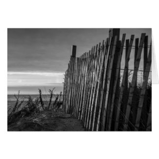 Plage noire et blanche